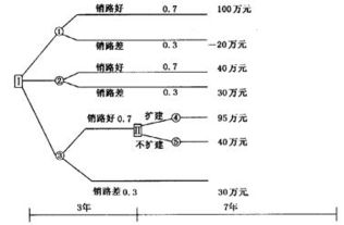 某企业产品扩产方案决策分析 基于市场概率与投资回报的财务评估